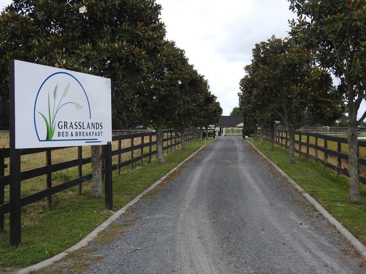 Grasslands Bed&Breakfast Cambridge Exteriör bild