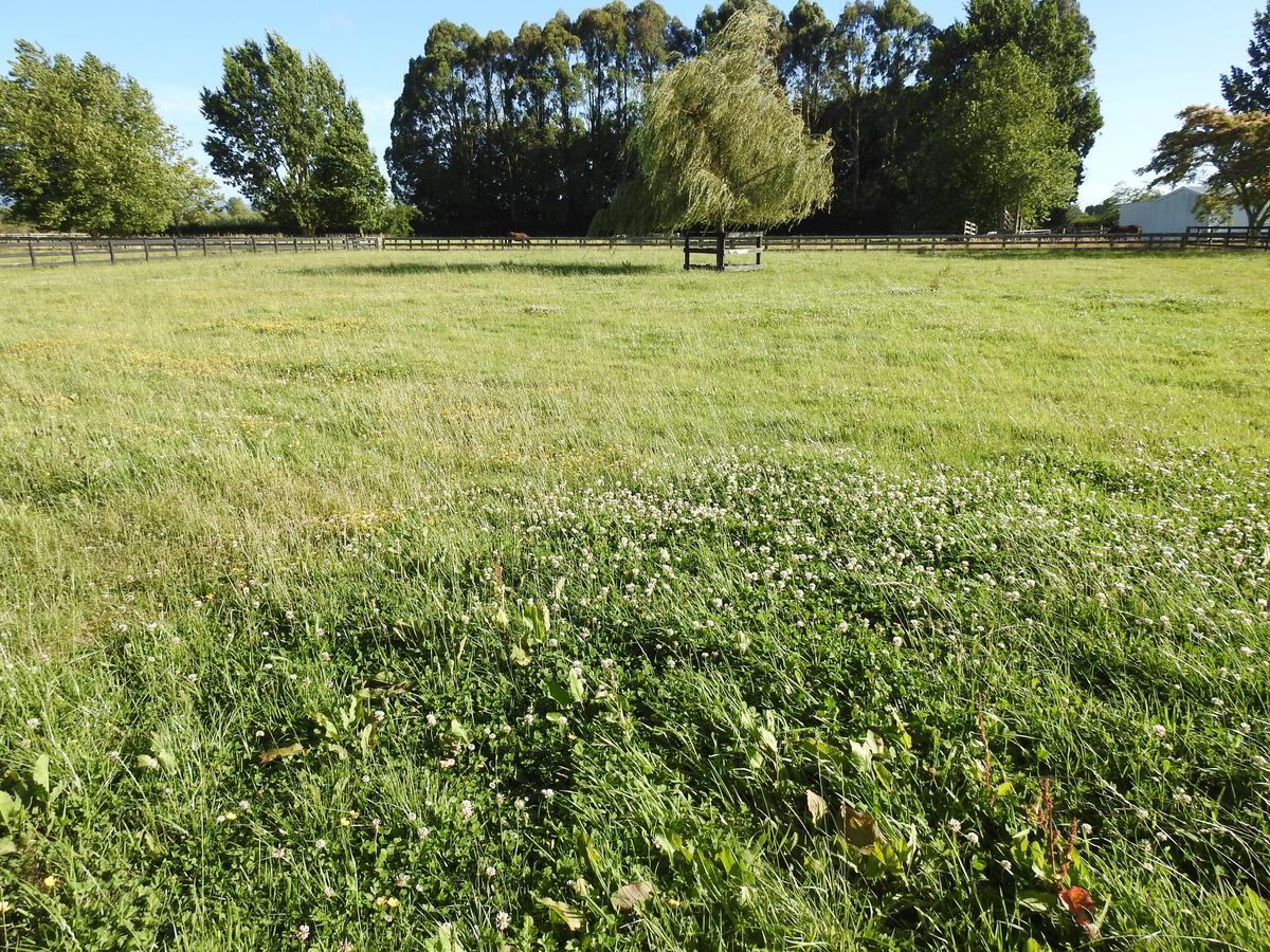 Grasslands Bed&Breakfast Cambridge Exteriör bild