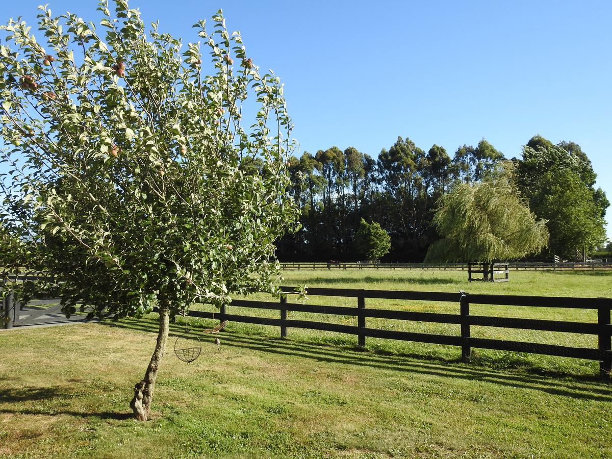 Grasslands Bed&Breakfast Cambridge Exteriör bild